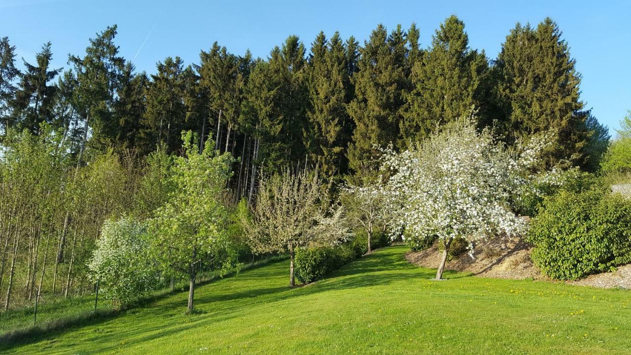 Ferienwohnung Am Waldrand Herdwangen-Schönach 외부 사진