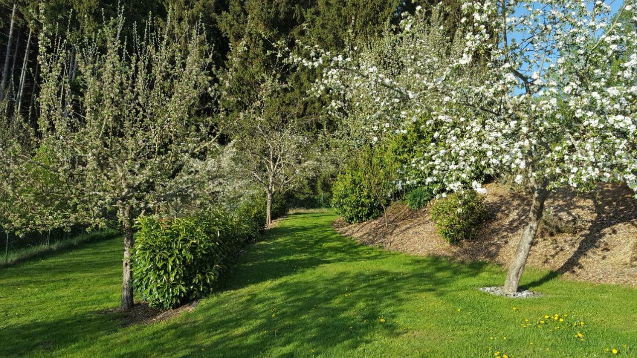 Ferienwohnung Am Waldrand Herdwangen-Schönach 외부 사진